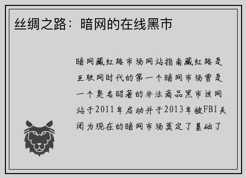 丝绸之路：暗网的在线黑市